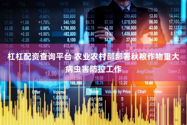 杠杠配资查询平台 农业农村部部署秋粮作物重大病虫害防控工作
