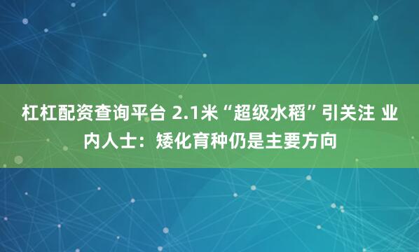 杠杠配资查询平台 2.1米“超级水稻”引关注 业内人士：矮化育种仍是主要方向