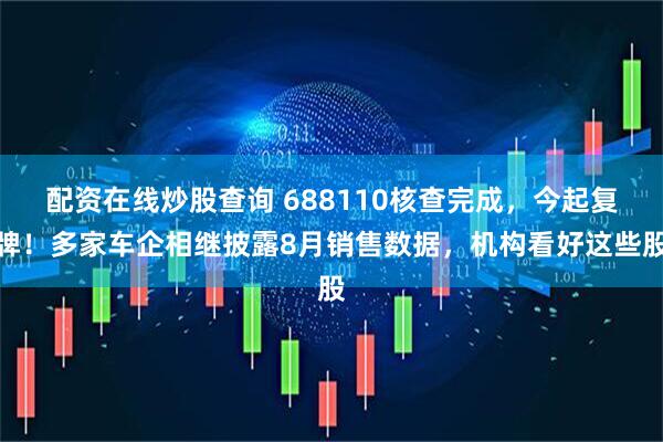 配资在线炒股查询 688110核查完成，今起复牌！多家车企相继披露8月销售数据，机构看好这些股
