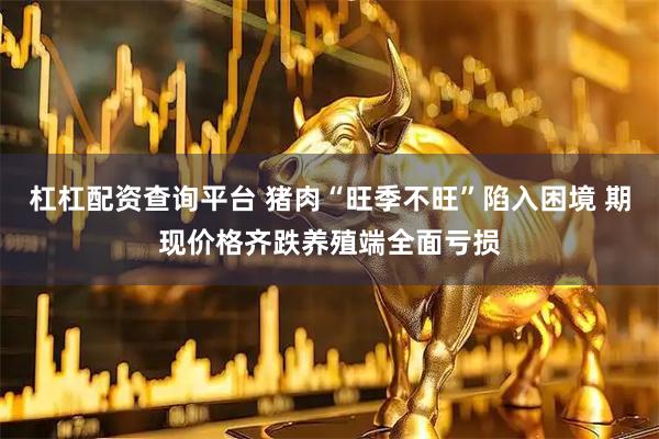 杠杠配资查询平台 猪肉“旺季不旺”陷入困境 期现价格齐跌养殖端全面亏损