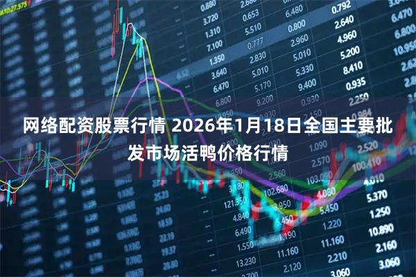 网络配资股票行情 2026年1月18日全国主要批发市场活鸭价格行情