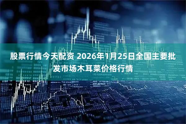 股票行情今天配资 2026年1月25日全国主要批发市场木耳菜价格行情
