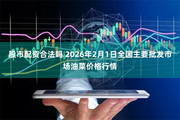 股市配资合法吗 2026年2月1日全国主要批发市场油菜价格行情