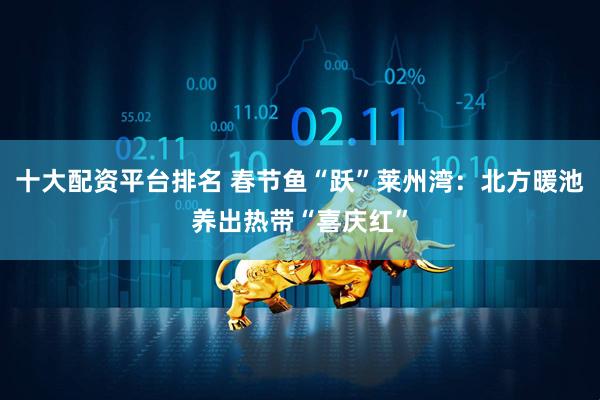 十大配资平台排名 春节鱼“跃”莱州湾：北方暖池养出热带“喜庆红”