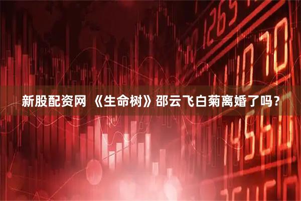 新股配资网 《生命树》邵云飞白菊离婚了吗？